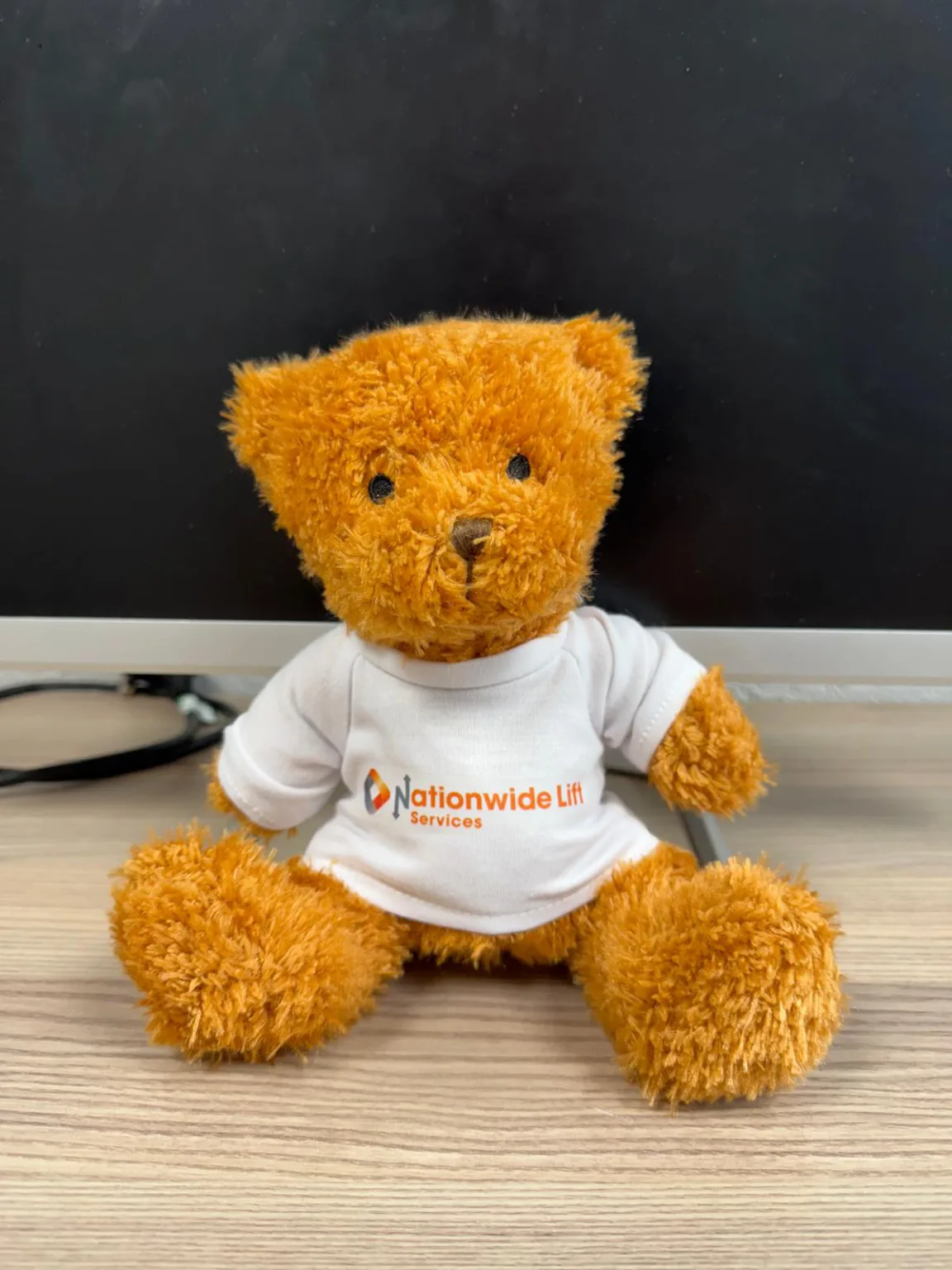 Nationwide Teddy Bear