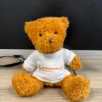 Nationwide Teddy Bear