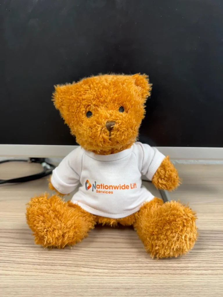 Nationwide Teddy Bear