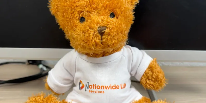 Nationwide Teddy Bear