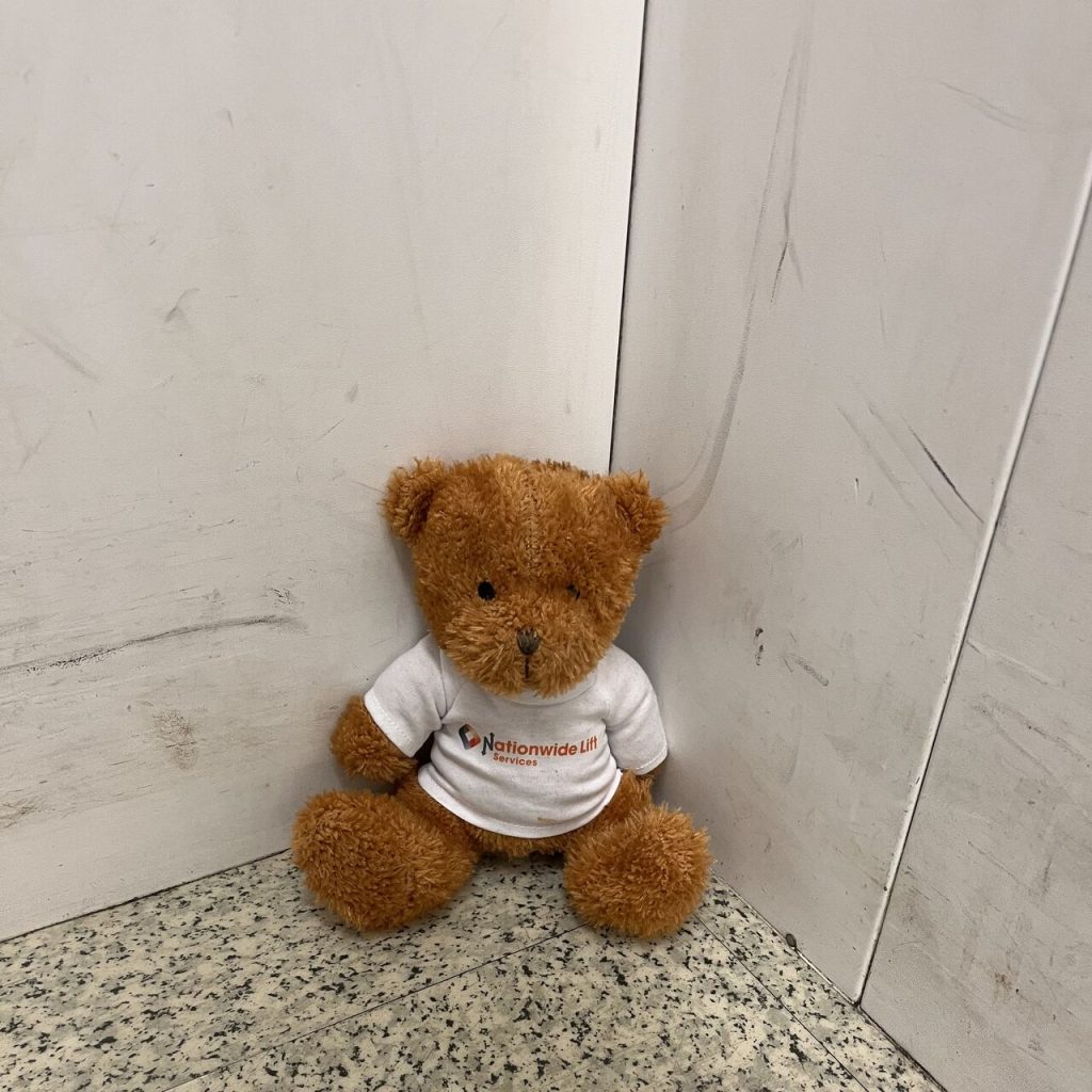search for ted